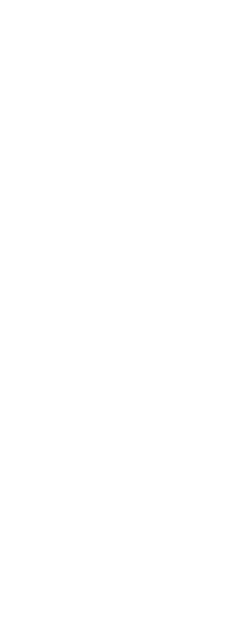 本格うどん、門真にあり